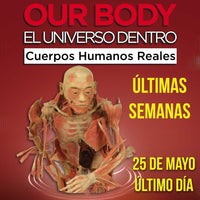 OUR BODY EL CUERPO HUMANO EXPOSICION PLAZA CARSO Myticketmx