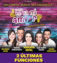 Como te va mi amor un musical pandorezco, OBRA DE TEATRO MUSICAL, TEATRO VERSALLES