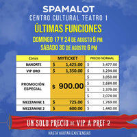 spamalot-el-musical-obra-de-teatro-descuento-precios_MAPA. precio especial